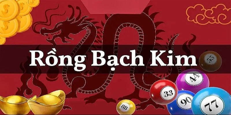 Sau khi phân tích dữ liệu, bạn cần xác định cầu Rồng Bạch Kim phù hợp