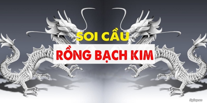 Soi cầu Bạch Kim và nuôi lô 2 ngày là phương pháp kết hợp cho tân binh